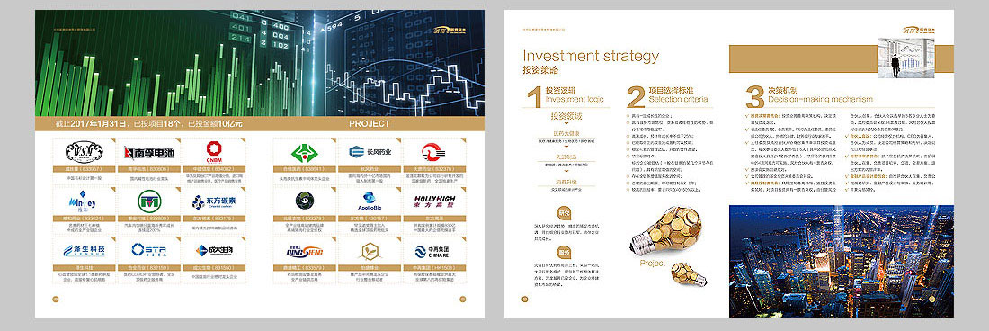 投資公司宣傳冊設(shè)計-5