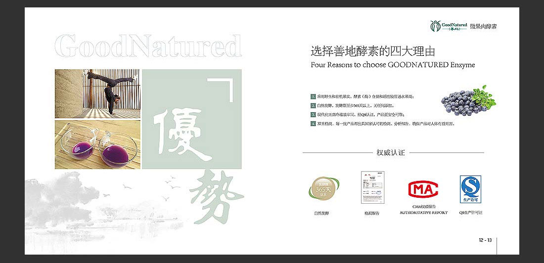 善地生物科技宣傳冊(cè)_酵素飲料產(chǎn)品冊(cè)-11